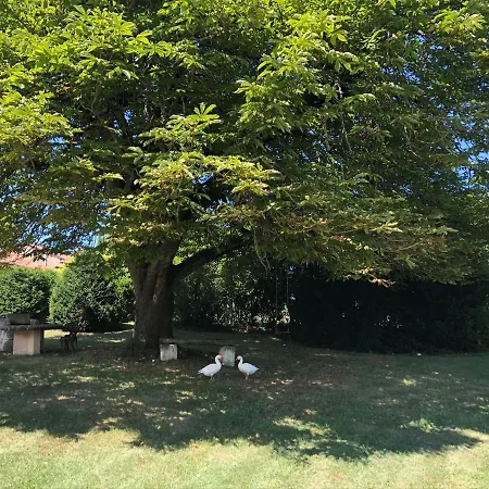 L'atelier